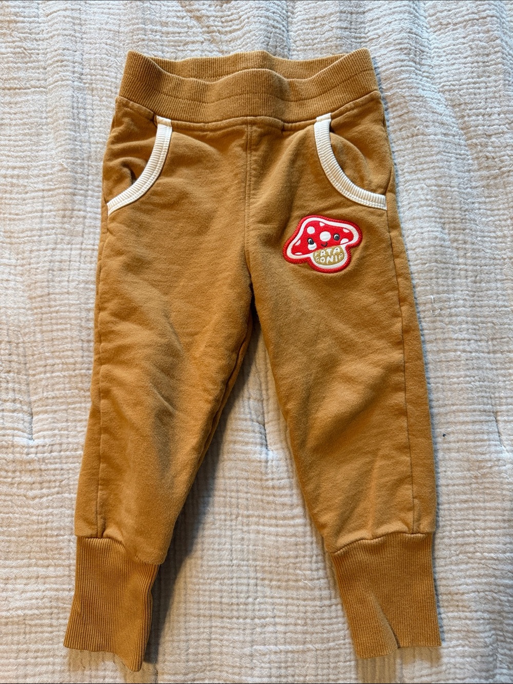 Patagonia mushroom pants
